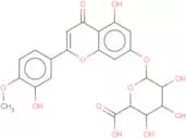 DiosMetin 7-O-β-D-Glucuronide