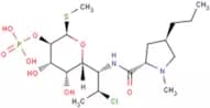 Clindamycin phosphate