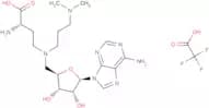 GSK2807 Trifluoroacetate