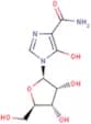 Mizoribine