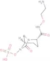 Nacubactam
