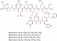 Bacitracin
