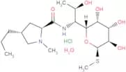 Lincomycin hydrochloride monohydrate