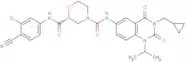 RORγt Inverse agonist 6