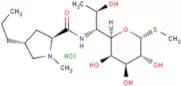 Lincomycin hydrochloride