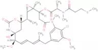 S-methyl DM1