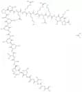 SN50 acetate (213546-53-3 free base)