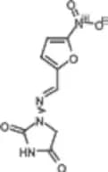 Nitrofurantoin