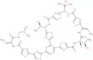 Thiocillin I