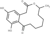 Compound NP-005836