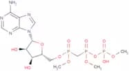 α,β-Methylene ATP trisodium