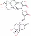Bisandrographolide C
