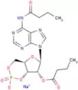 Bucladesine sodium