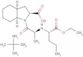 Perindopril erbumine