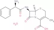 Cephradine monohydrate