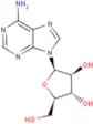 Vidarabine