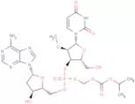 Inarigivir soproxil