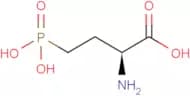 L-AP4