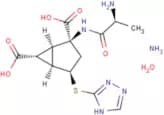 LY2979165