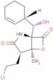 Marizomib
