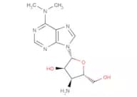 Puromycin aminonucleoside