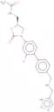 Radezolid
