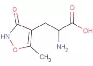 (RS)-AMPA