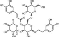 Echinacoside