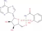 Salicyl-AMS