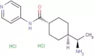 Y-27632 dihydrochloride