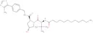 (S,R,S)-AHPC-C10-NH2