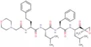Carfilzomib
