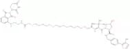 PROTAC CRBN Degrader-1