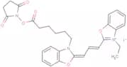 Cy2-SE (iodine)