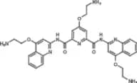 Pyridostatin