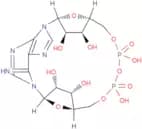 Cyclic ADP-ribose