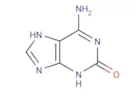 Isoguanine
