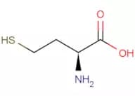 L-Homocysteine