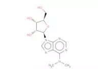 N6,N6-Dimethyladenosine