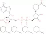 NADPH tetracyclohexanamine