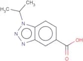 IBC 293
