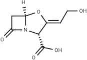 Clavulanic Acid