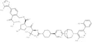 PROTAC SMARCA2/4-degrader-2