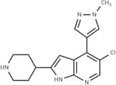 YK-2168
