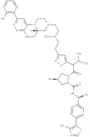 PROTAC SMARCA2 degrader-24