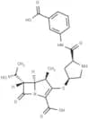 Ertapenem