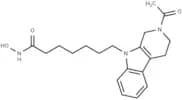 HDAC-IN-81