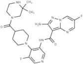 ATR kinase-IN-2