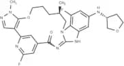EGFR-IN-133