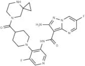 ATR kinase-IN-3
